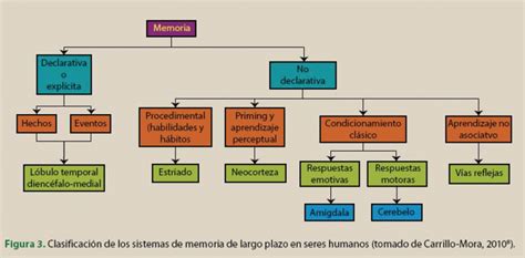 sistemas de memoria que crean el falso recuerdo